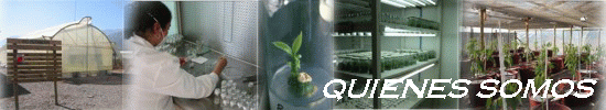 QUIENES SOMOS